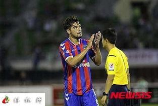 贾帕 2024,展望未来，探索无限可能