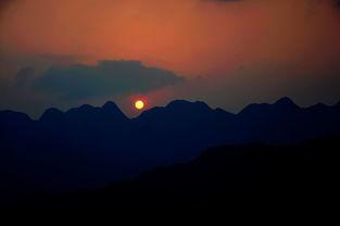 第九十九次日落,第九十九次绽放的奇迹