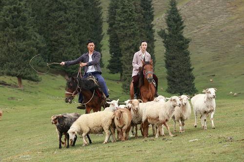 大牧歌,草原牧民生活的诗意画卷