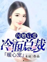 退婚当天，我闪婚冷面大佬（换个老公，三年抱俩真香）,闪嫁冷面大佬，三年抱俩，生活甜蜜如蜜
